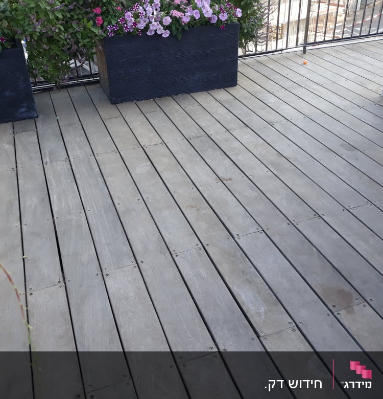 רצפת עץ עם עציצים ופרחים צבעוניים